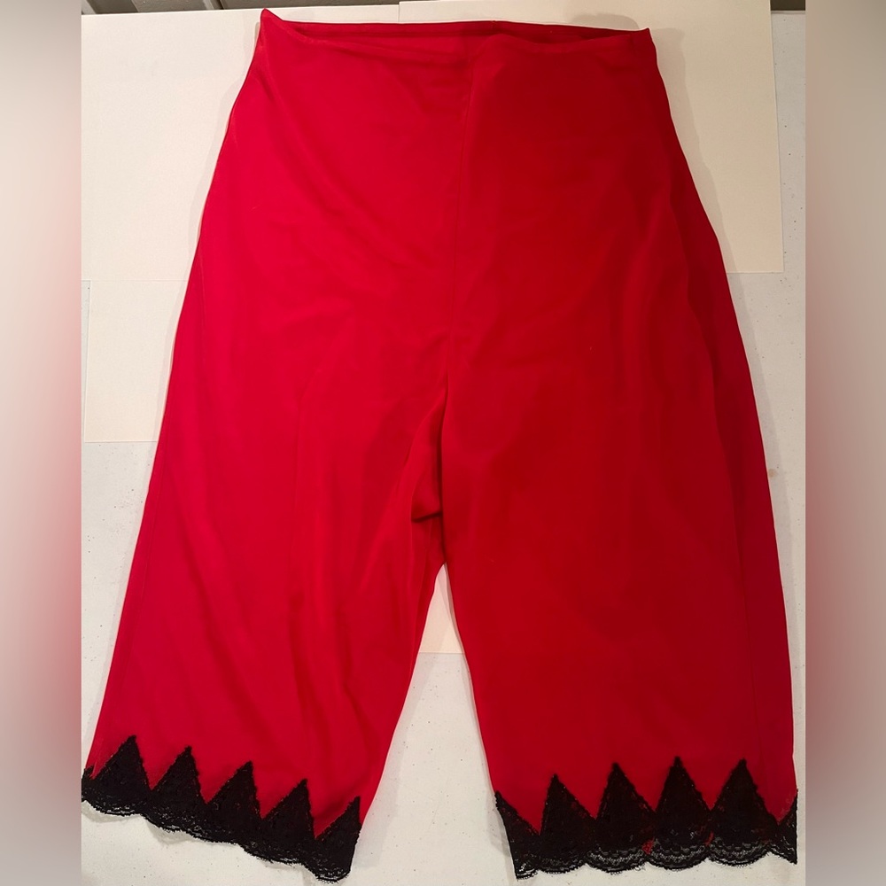 Vintage Van Raalte Red Panti-Slip M